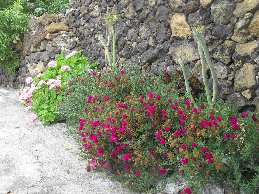 Casa Rural Abuelo Pancho Las Casas  Exterior photo